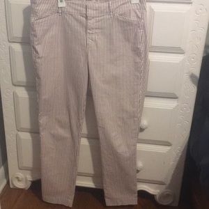 Maroon & White Pixie Pants